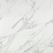 Milano Statuario Honed 24X24 | Alita Tile