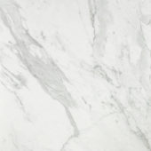 Milano Statuario Honed 24X24 | Alita Tile