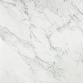 Milano Statuario Honed 24X24 | Alita Tile
