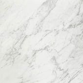 Milano Statuario Honed 32X32 | Alita Tile