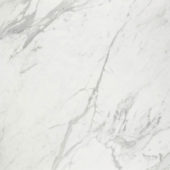 Milano Statuario Honed 32X32 | Alita Tile