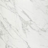 Milano Statuario Honed 32X32 | Alita Tile