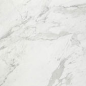 Milano Statuario Honed 32X32 | Alita Tile
