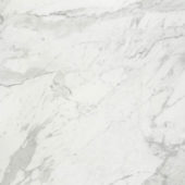 Milano Statuario Honed 32X32 | Alita Tile