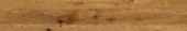 Oak Devonport | Alita Tile