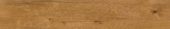 Oak Devonport | Alita Tile