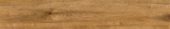 Oak Devonport | Alita Tile