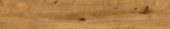 Oak Devonport | Alita Tile