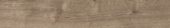 Oak Sevilla Taupe | Alita Tile