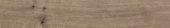 Oak Sevilla Taupe | Alita Tile