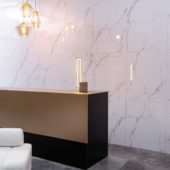Olympus Gloss Wall Panel 24x48 | Alita Tile
