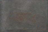 Palms Steel 16x24 | Alita Tile