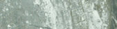 Parana 4X12 | Alita Tile