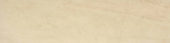Polished 3X12 Affection Bullnose | Alita Tile