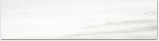 Polished 3X12 Devotion Bullnose | Alita Tile