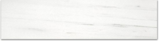 Polished 3X12 Devotion Bullnose | Alita Tile