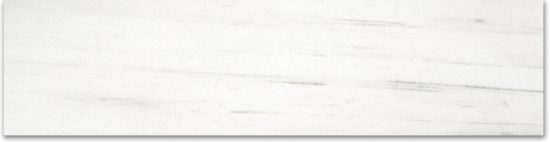 Polished 3X12 Devotion Bullnose | Alita Tile
