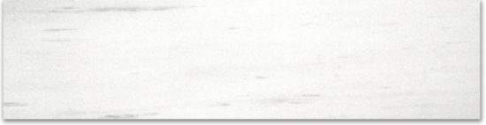 Polished 3X12 Devotion Bullnose | Alita Tile