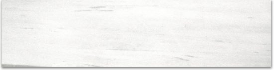 Polished 3X12 Devotion Bullnose | Alita Tile
