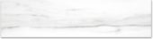 Polished 3X12 Infatuation Bullnose | Alita Tile