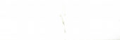 Polished Adoration 10.5X32 | Alita Tile