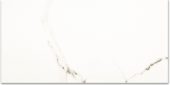 Polished Adoration 12X24 | Alita Tile