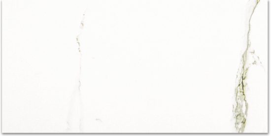 Polished Adoration 16X32 | Alita Tile