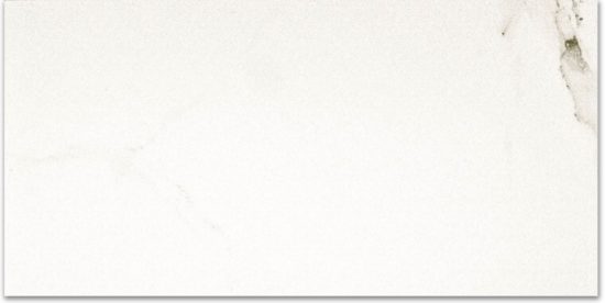 Polished Adoration 16X32 | Alita Tile