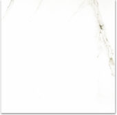 Polished Adoration 24X24 | Alita Tile