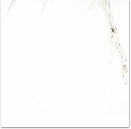 Polished Adoration 24X24 | Alita Tile