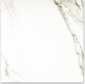 Polished Adoration 24X24 | Alita Tile