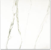 Polished Adoration 24X24 | Alita Tile