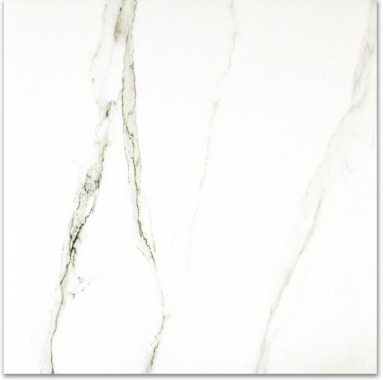 Polished Adoration 24X24 | Alita Tile