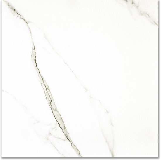 Polished Adoration 24X24 | Alita Tile