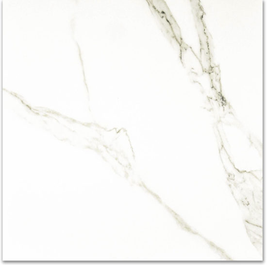 Polished Adoration 24X24 | Alita Tile