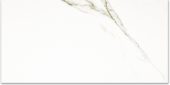Polished Adoration 24X48 | Alita Tile