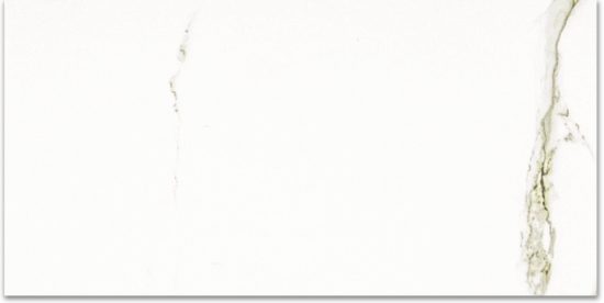 Polished Adoration 24X48 | Alita Tile