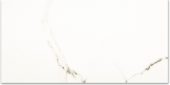 Polished Adoration 24X48 | Alita Tile