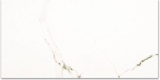 Polished Adoration 24X48 | Alita Tile