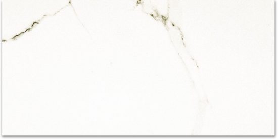 Polished Adoration 24X48 | Alita Tile