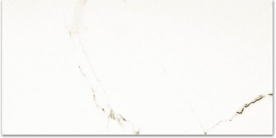 Polished Adoration 24X48 | Alita Tile