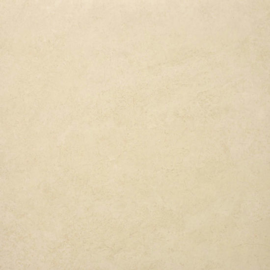 Polished Affection 24X24 | Alita Tile