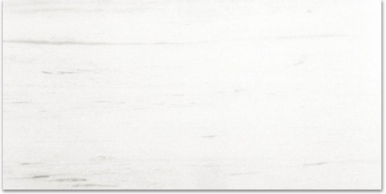 Polished Devotion 12X24 | Alita Tile
