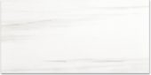 Polished Devotion 12X24 | Alita Tile