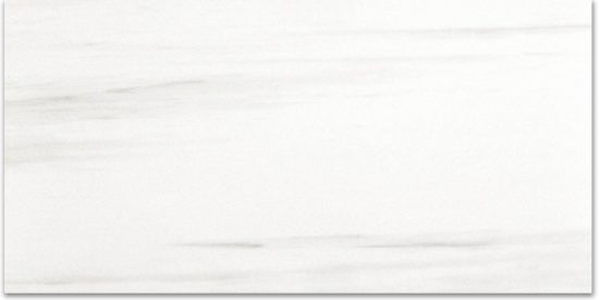 Polished Devotion 12X24 | Alita Tile