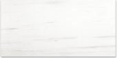 Polished Devotion 12X24 | Alita Tile