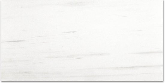 Polished Devotion 12X24 | Alita Tile