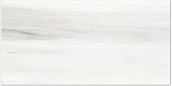 Polished Devotion 16X32 | Alita Tile