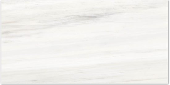 Polished Devotion 16X32 | Alita Tile
