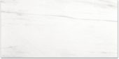 Polished Devotion 24X48 | Alita Tile